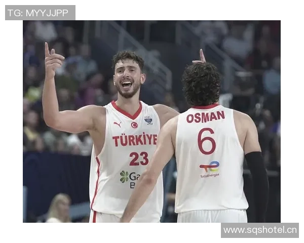 中锋球员联盟助攻排行榜揭晓约老师领衔申京奎因紧随其后